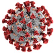 Coronavirus-Covid19-cdc-k0KRNtqcjfw-unsplash