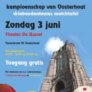 Kampioenschap-Driebanden-matchtafel